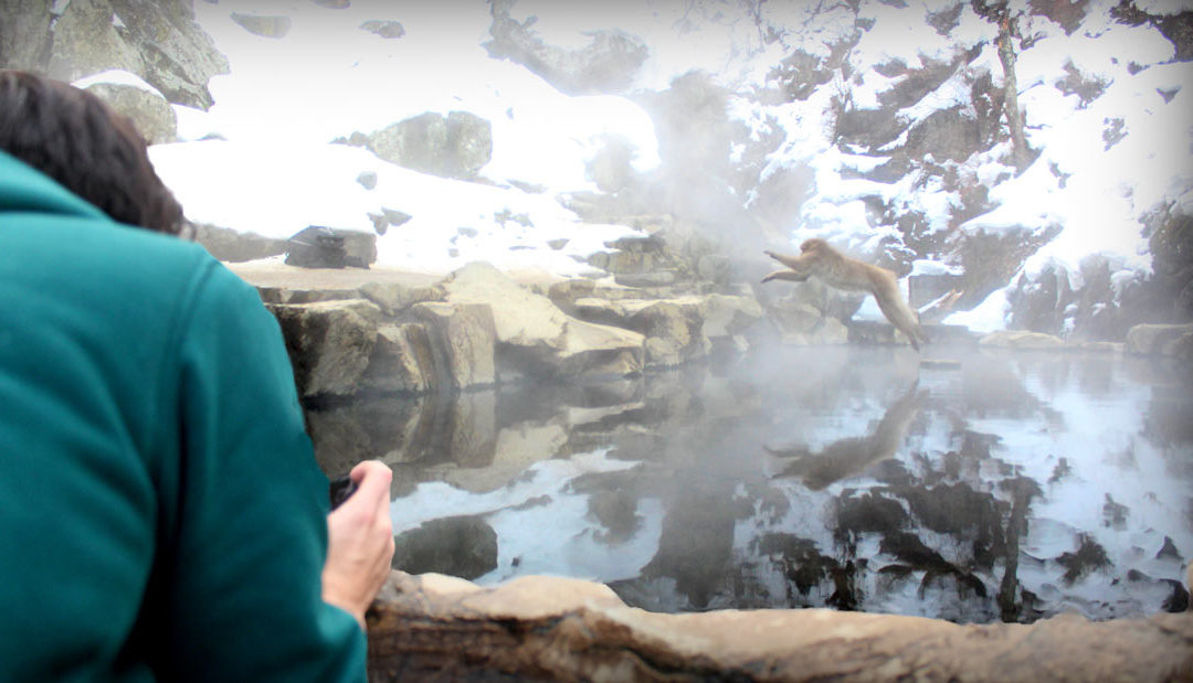 Japan’s Snow Monkey Spa and how to get there