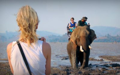 How to shoot an Elephant