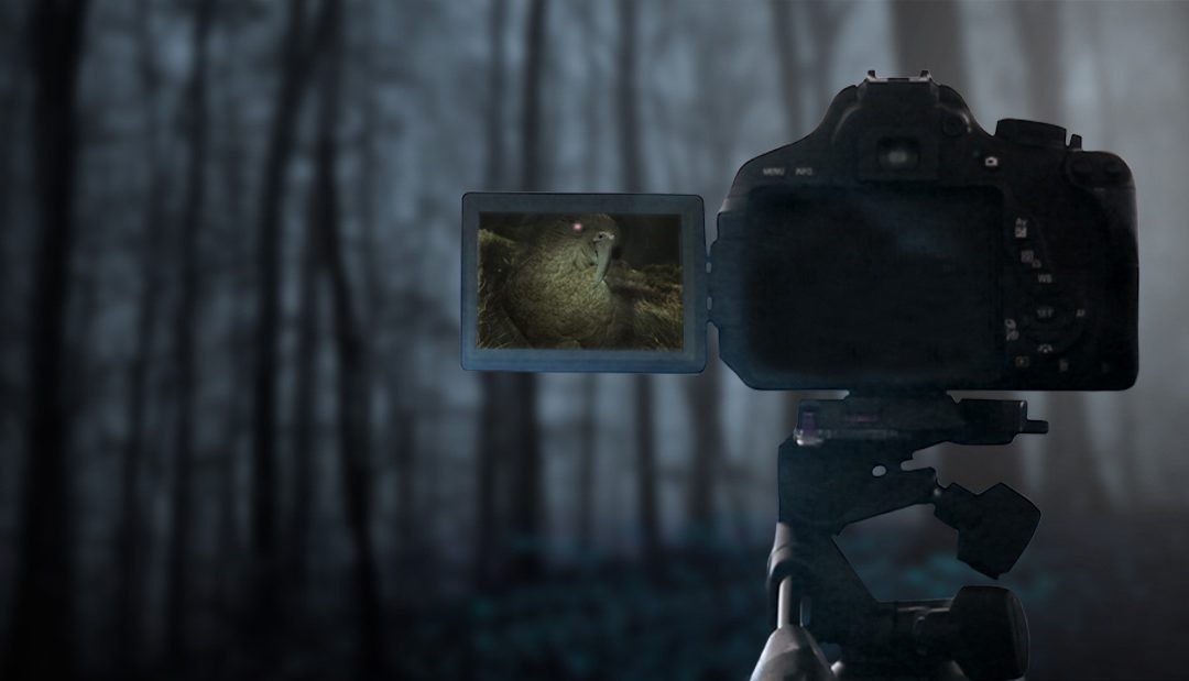 Forget Jurassic Park T-Rex. This is way more scary.